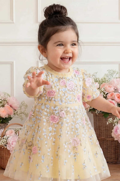 Cressida Embroidery Baby Dress